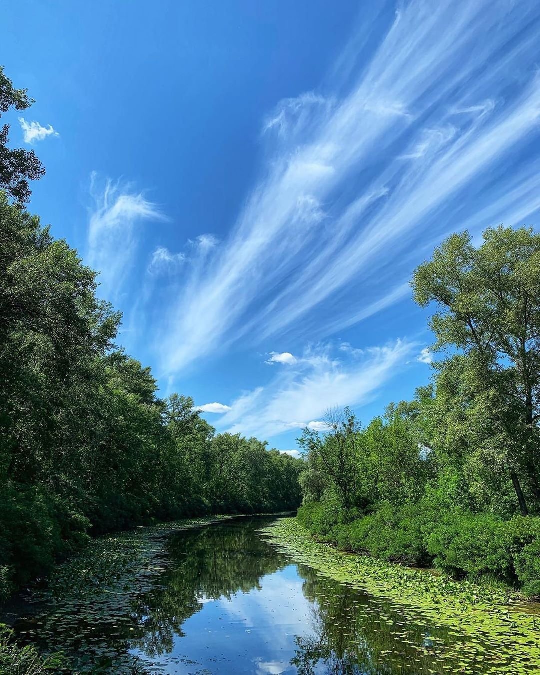 А сразу и не подумаешь, что это Киев. Фото: @jukudina А сразу и не подумаешь, что это Киев. Фото: @jukudina