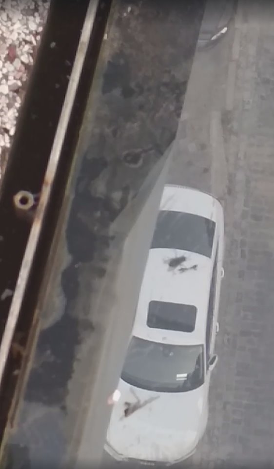 Скриншот видео. Автор Dmytro Vdoviko