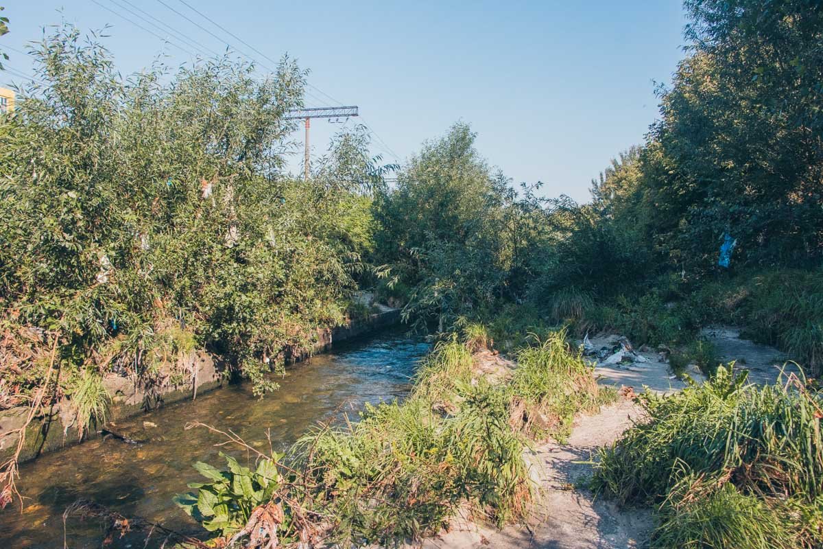 Реку Лыбидь в Киеве хотят "закрыть" в бетон