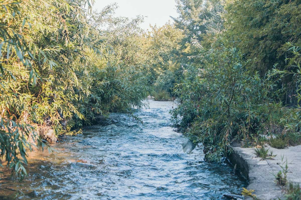 Кое где река выглядит почти идиллически