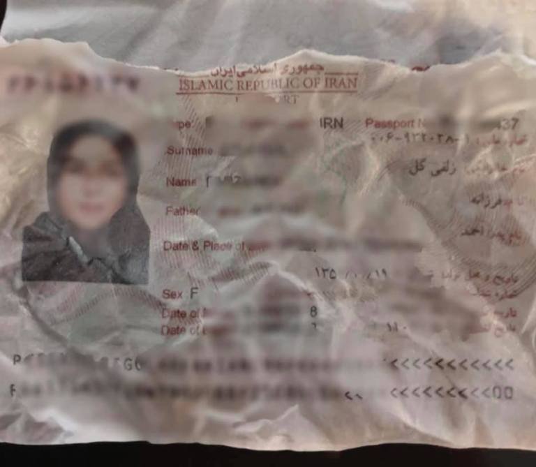 Они хотели незаконно улететь в Ереван Они хотели незаконно улететь в Ереван