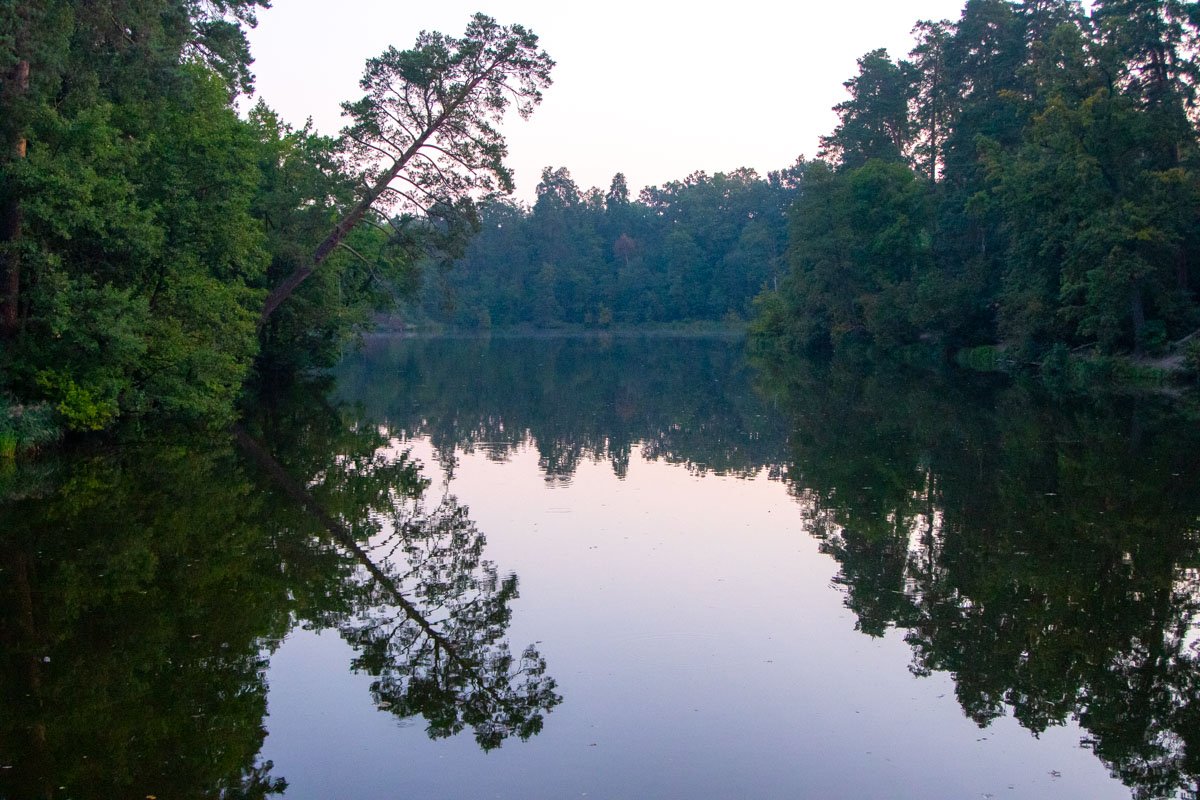 Зеркальное отражение завораживает