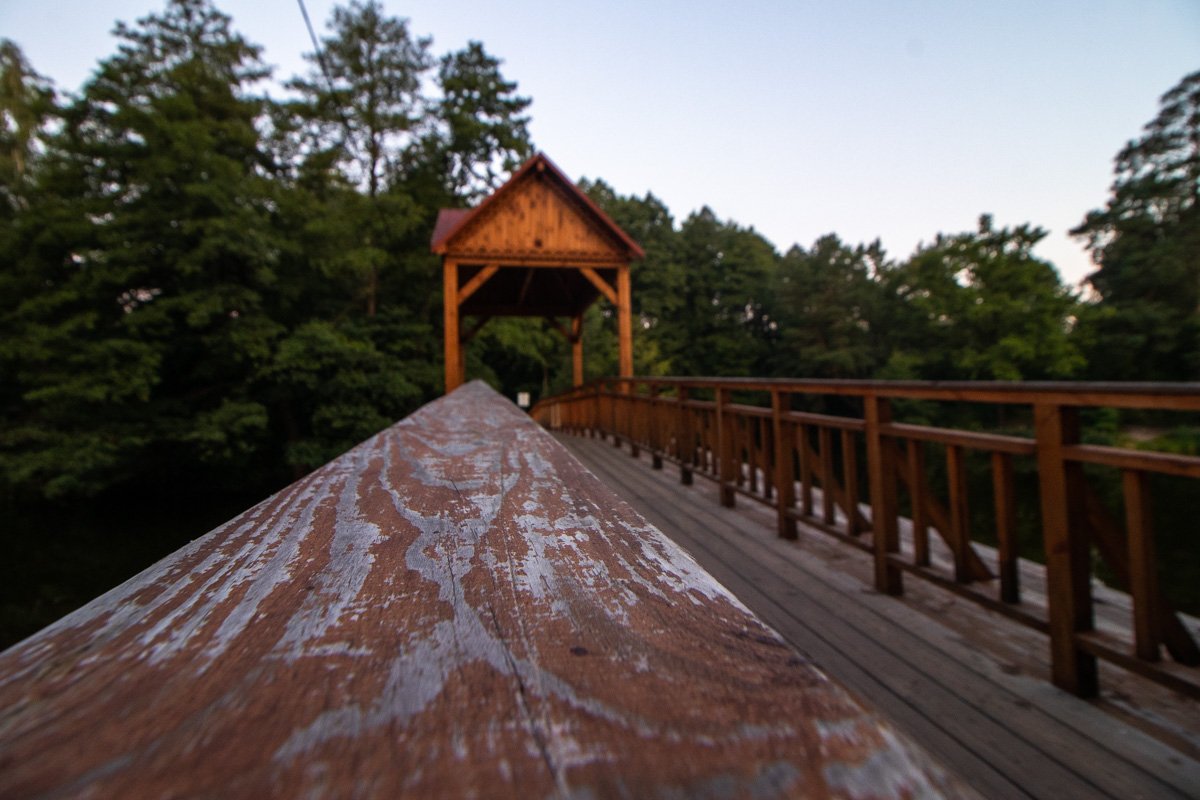 Свежий хвойный воздух хочется вдыхать еще и еще