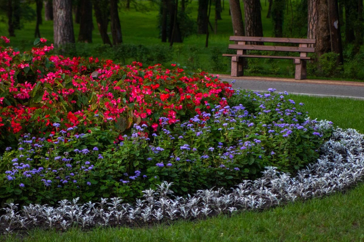 Парк не так давно реконструировали и выглядит он прекрасно