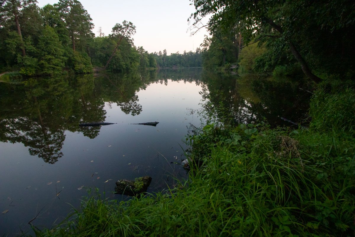 Кусочек природы в черте города...