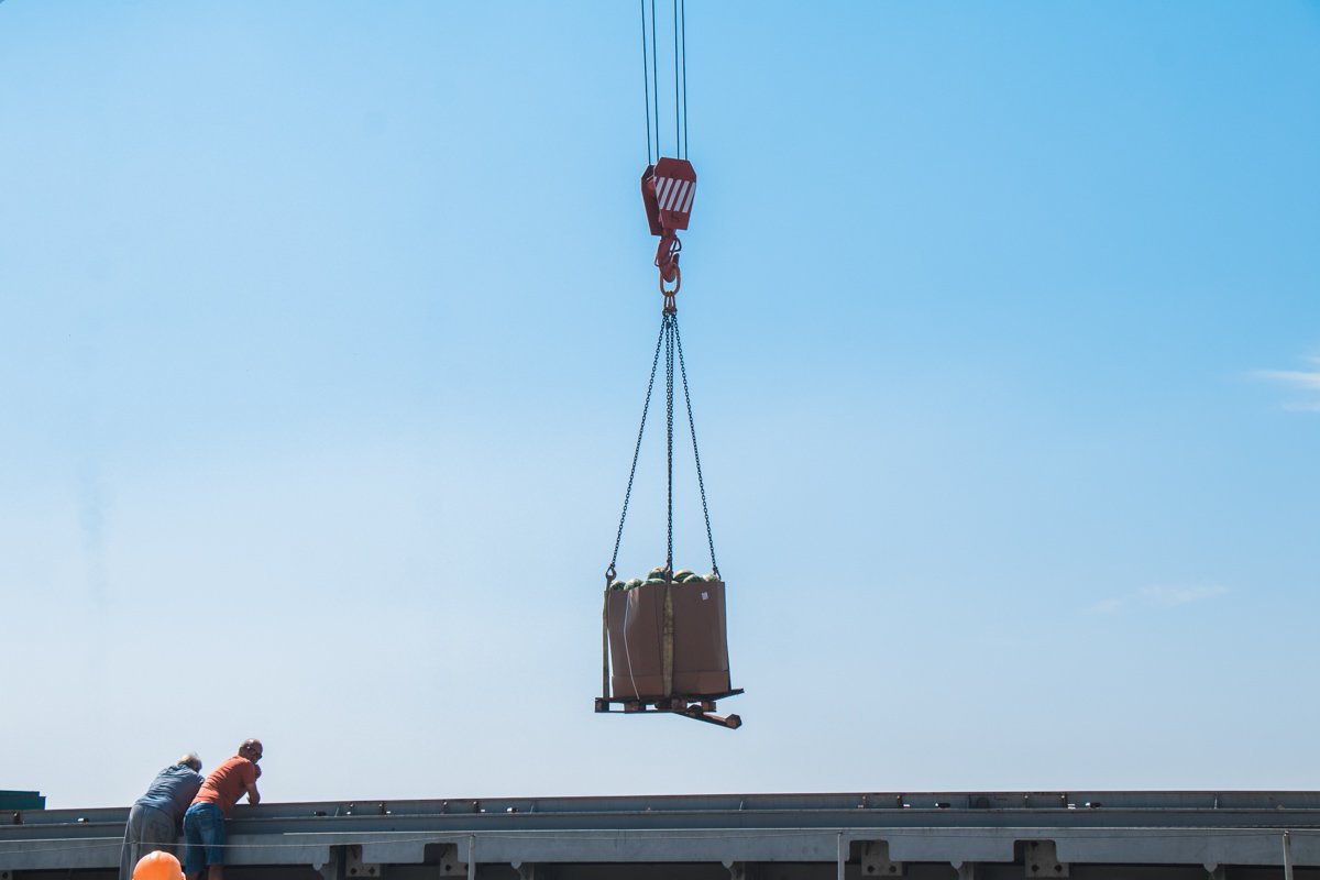 Прибыло более 500 тонн арбуза и 40 тонн дыни Прибыло более 500 тонн арбуза и 40 тонн дыни