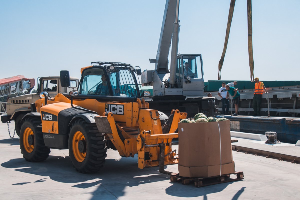 В этом году урожайность бахчи увеличилась в 2 раза В этом году урожайность бахчи увеличилась в 2 раза