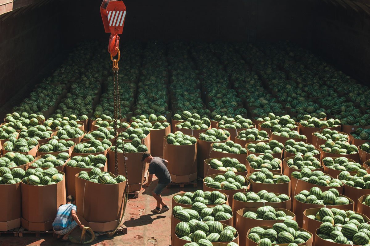 В этих же картонных коробках арбузы и будут доставлены в магазины В этих же картонных коробках арбузы и будут доставлены в магазины