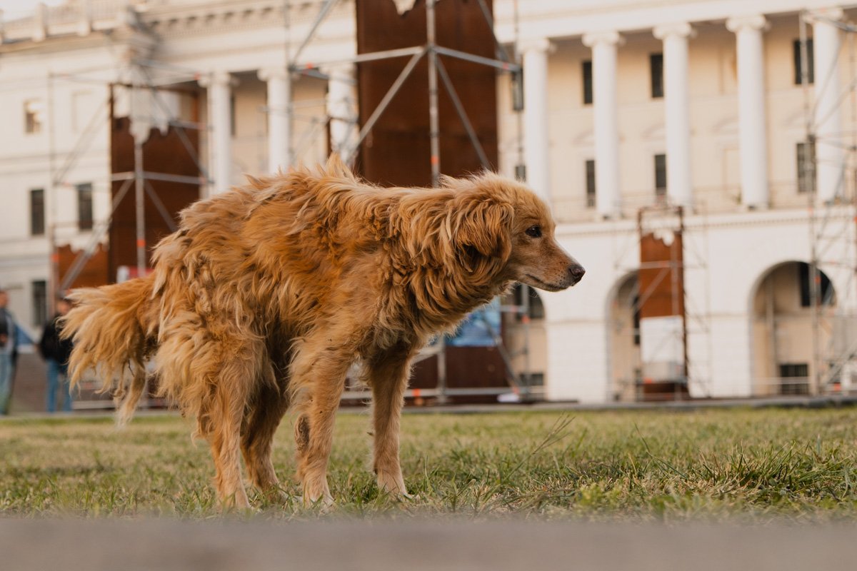 Увы, но даже в такие моменты нельзя забывать, что жизнь бывает жестока и несправедлива: вглядитесь в эти глаза