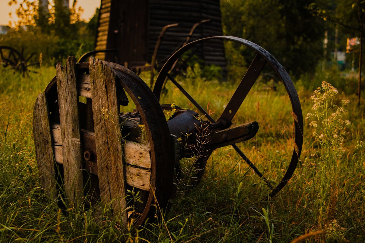 Утренние краски могут украсить даже самые обычные предметы