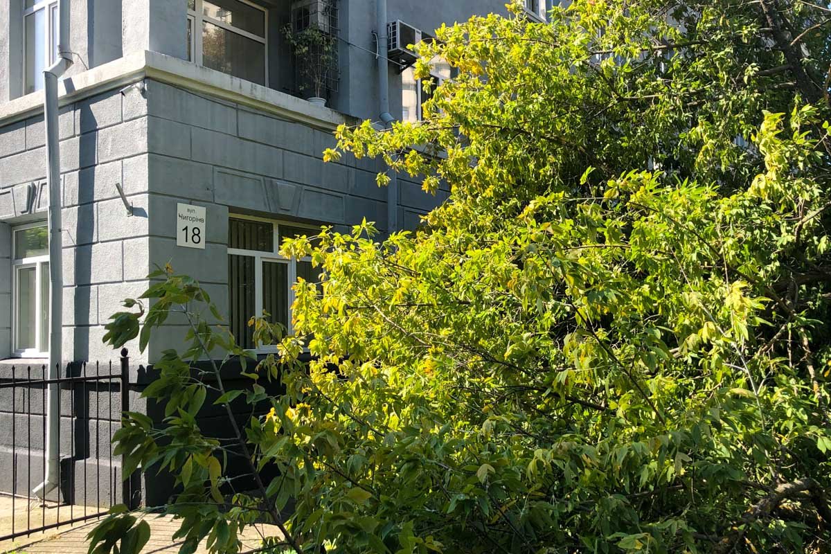 Пострадавшая шла по пешеходной зоне и в момент, когда дерево начало падать, не успела отбежать