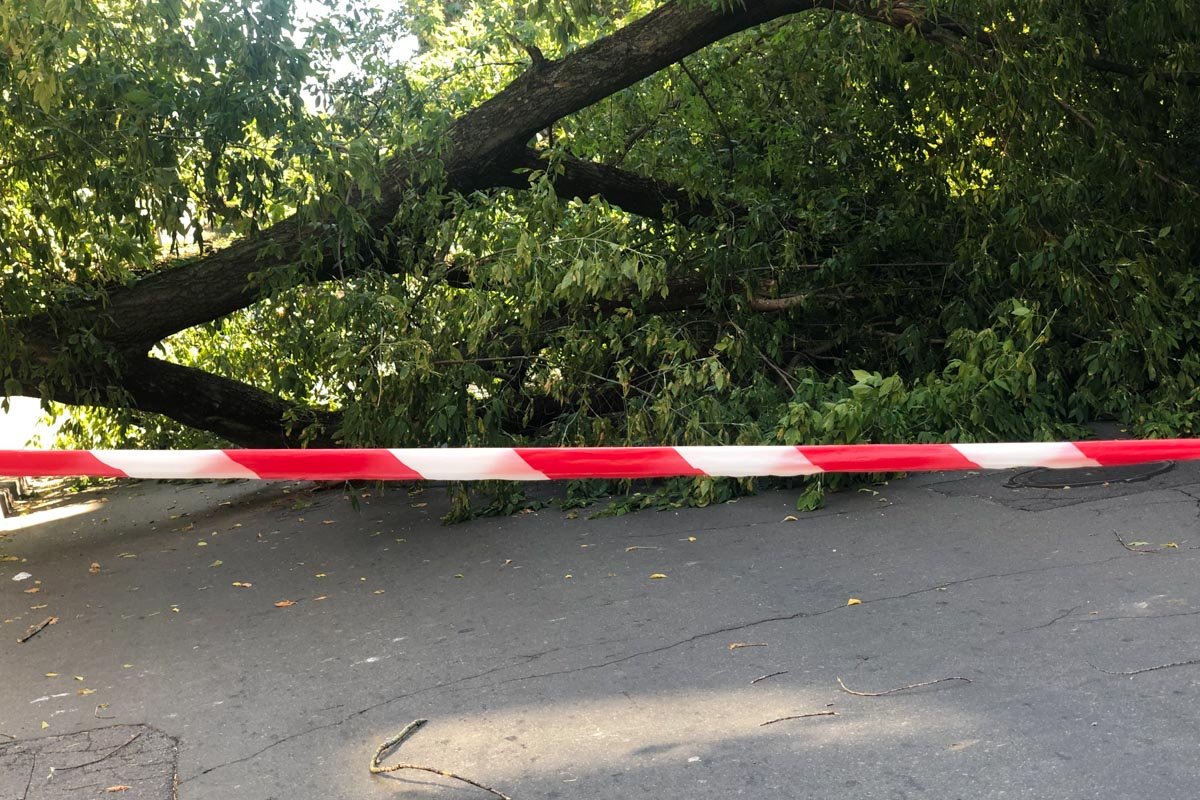 Ее госпитализировали, в каком состоянии, неизвестно