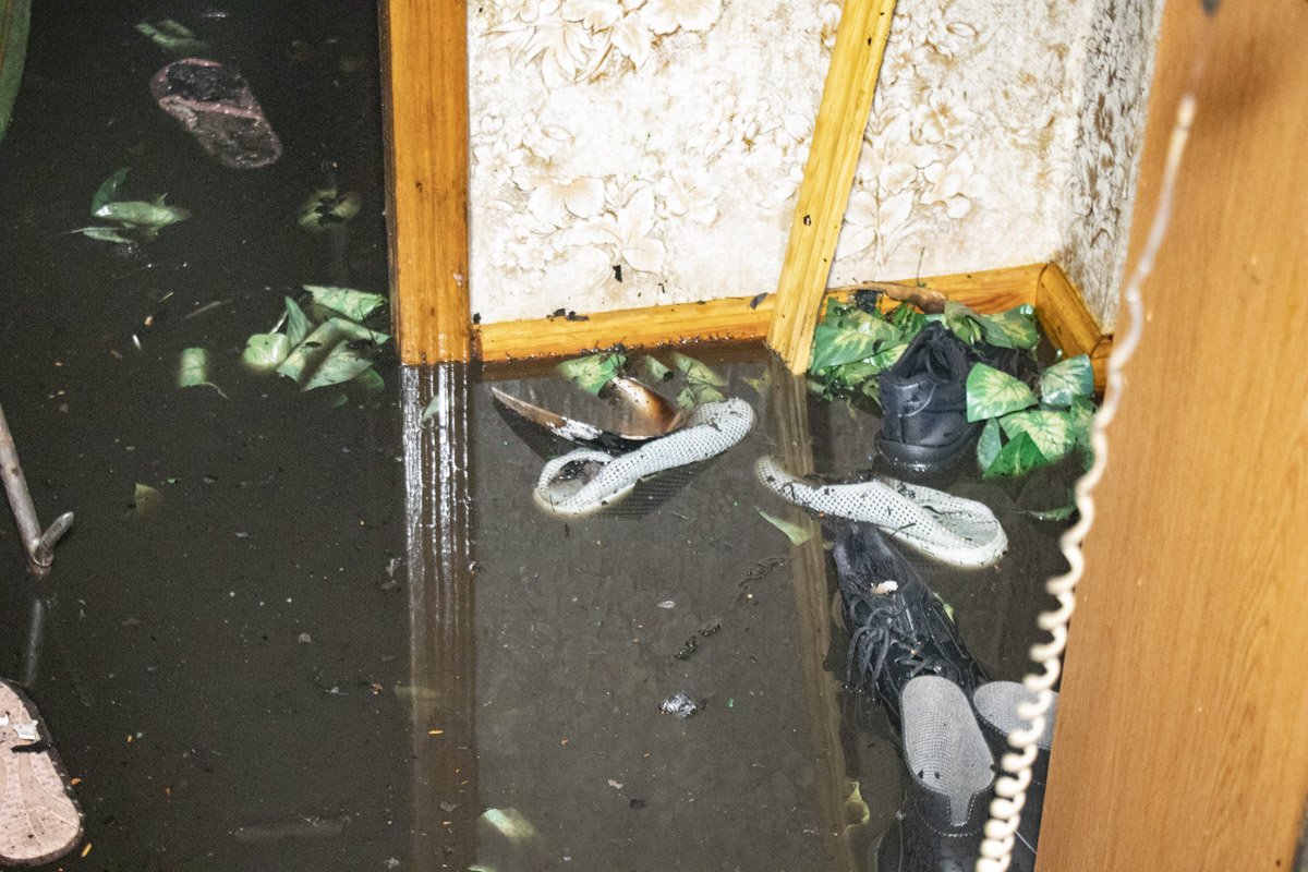 В квартире проживала учительница зарубежной литературы В квартире проживала учительница зарубежной литературы