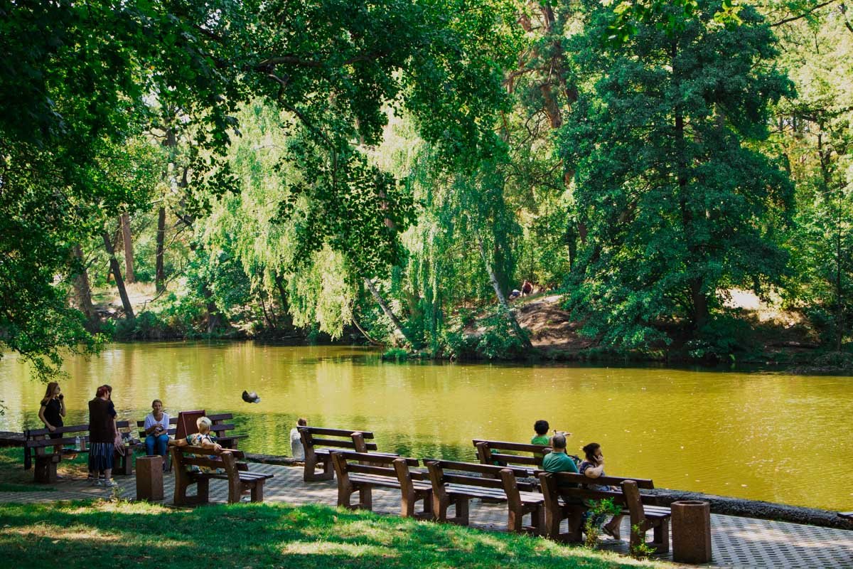 Особенно же красивая картина предстает на берегу ставка Горащиха - недаром там постоянно можно встретить художников Особенно же красивая картина предстает на берегу ставка Горащиха - недаром там постоянно можно встретить художников