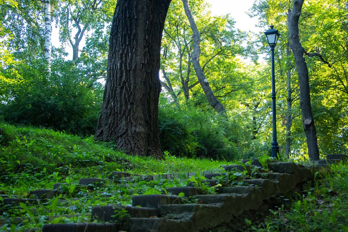 Мариинский парк - большая зеленая зона в центре столицы. В некоторых местах Мариинка выглядит очень необычно Мариинский парк - большая зеленая зона в центре столицы. В некоторых местах Мариинка выглядит очень необычно