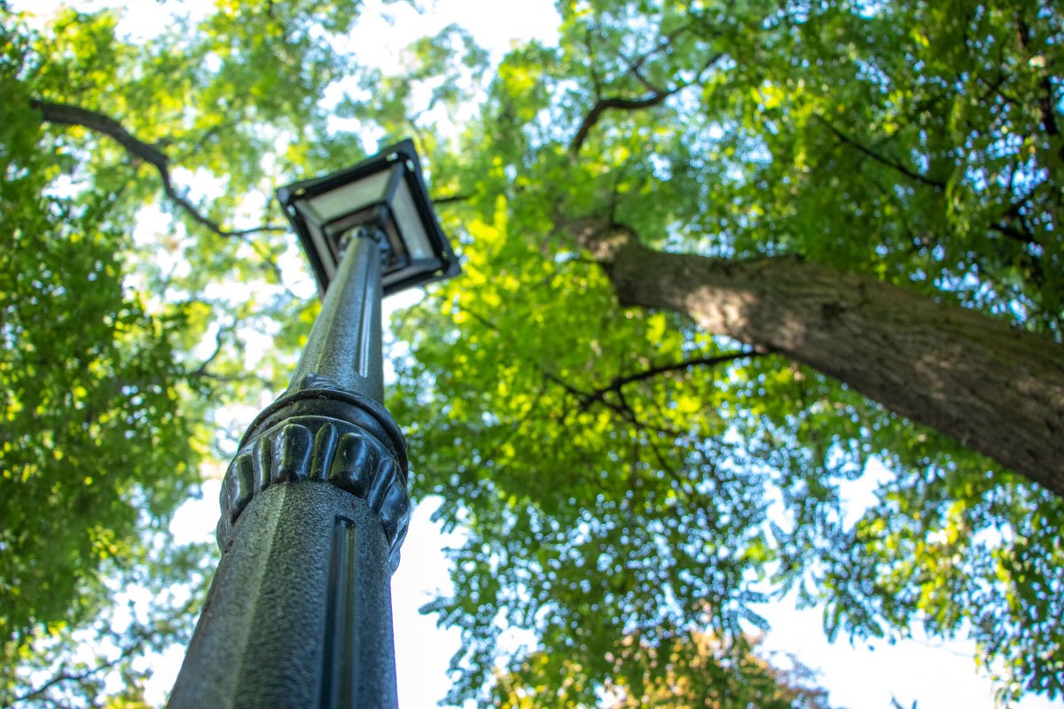 Фонарные столбы выглядят крайне аутентично и исторично Фонарные столбы выглядят крайне аутентично и исторично