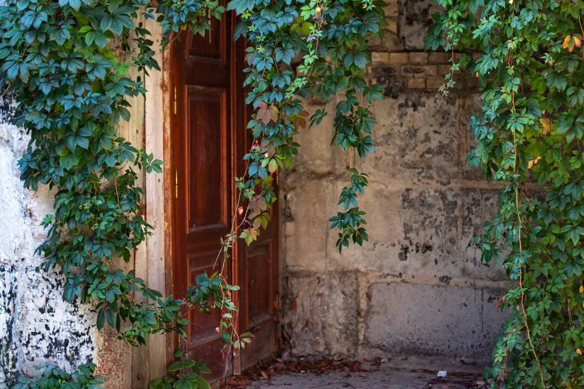 Хотя хватает в Крепости и укромных уголков