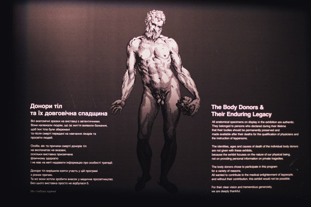 Тела предоставили доноры из разных стран мира, большинство из Германии 