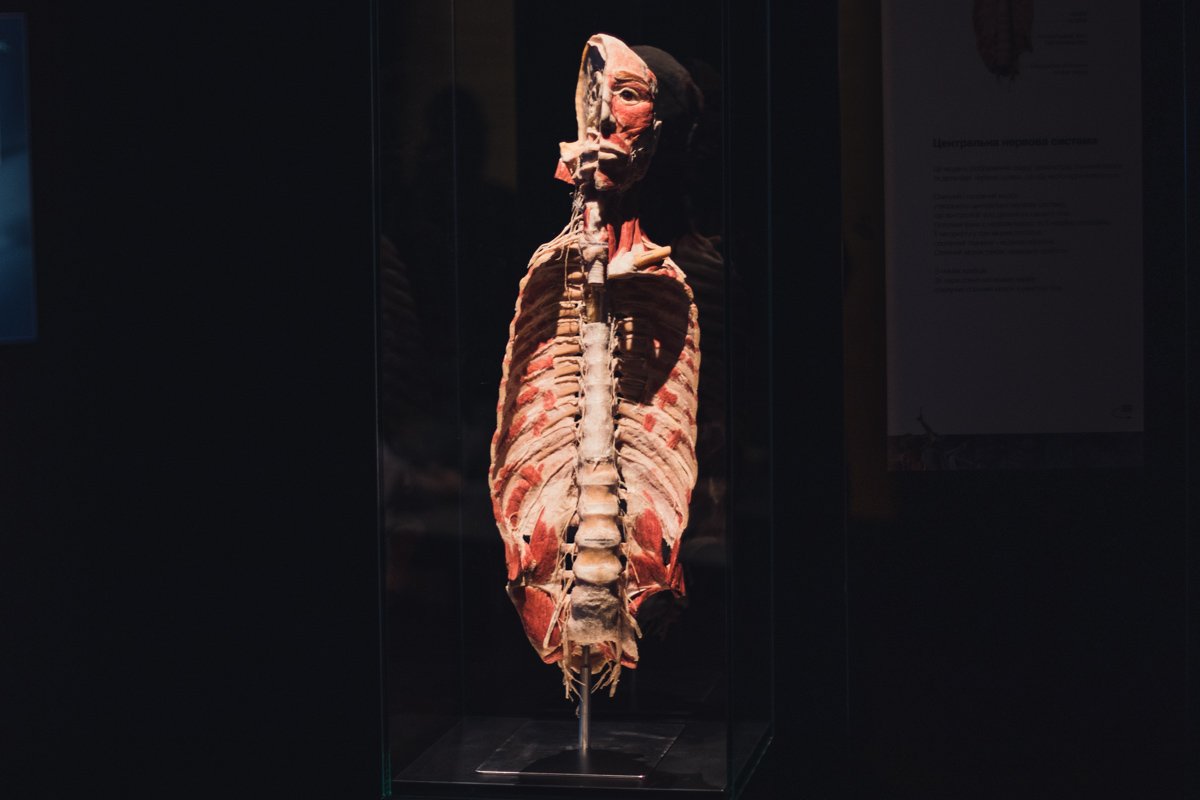 Каждый экспонат подолгу обрабатывали и шлифовали 