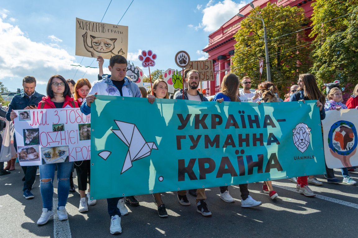 На этот раз слова о гуманности будут звучать еще громче На этот раз слова о гуманности будут звучать еще громче