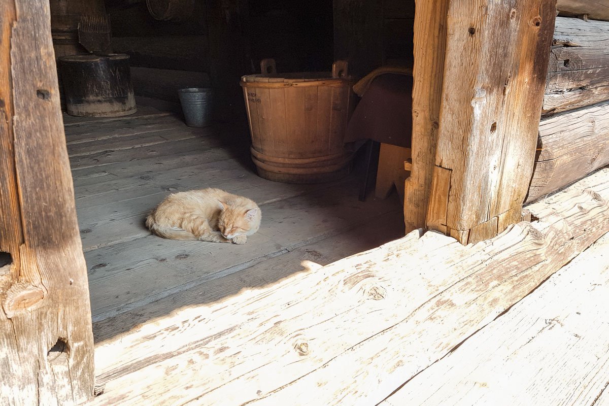 А в каких-то очень милые хозяева так и зазывают зайти в гости А в каких-то очень милые хозяева так и зазывают зайти в гости