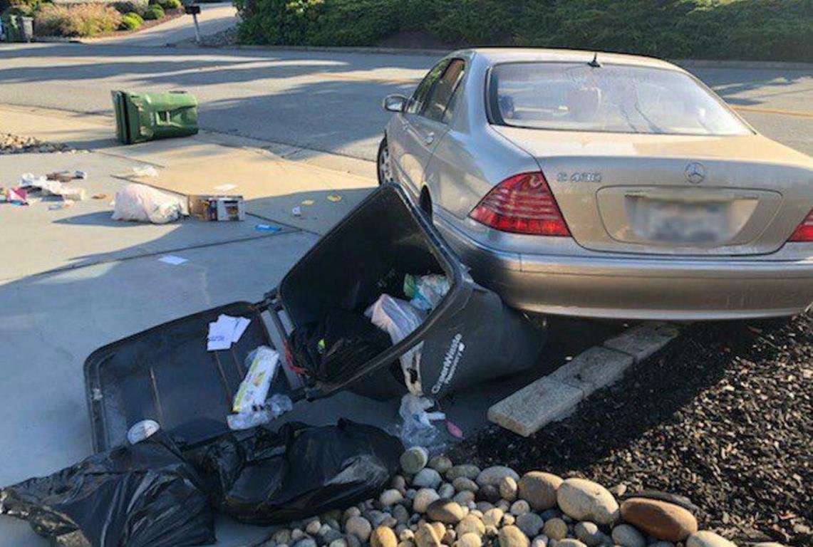 Собака угнала Mercedes и врезалась на нем в стену