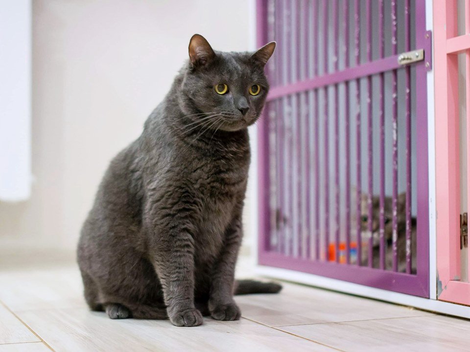 Марк полюбил людей и поверил им, поэтому не разочаровывайте малыша Марк полюбил людей и поверил им, поэтому не разочаровывайте малыша