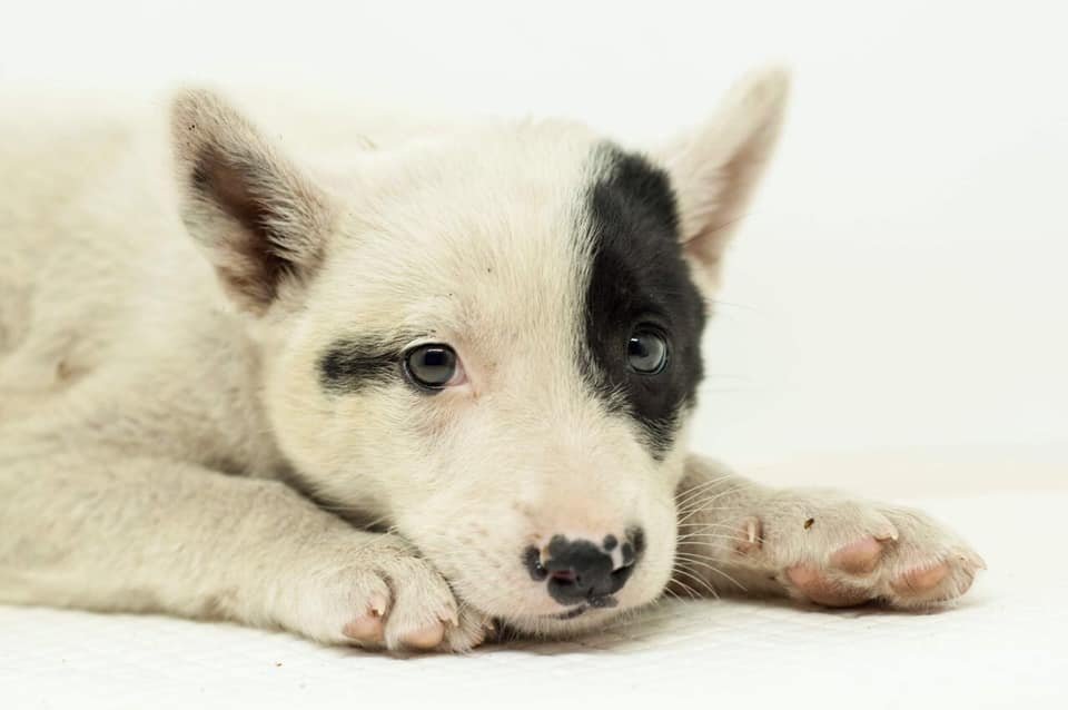 Эти глаза говорят все сами за себя Эти глаза говорят все сами за себя
