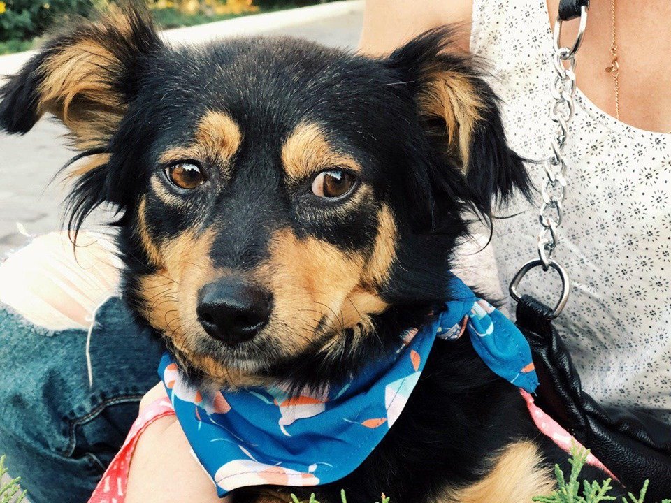 Милашка Кнопа выглядывает именно тебя Милашка Кнопа выглядывает именно тебя