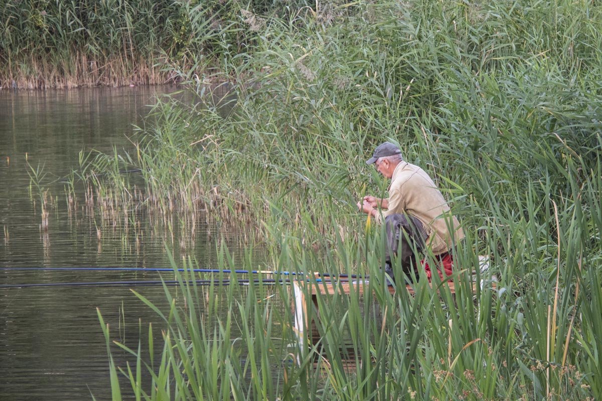 На берегу можно заметить вездесущих рыбаков На берегу можно заметить вездесущих рыбаков