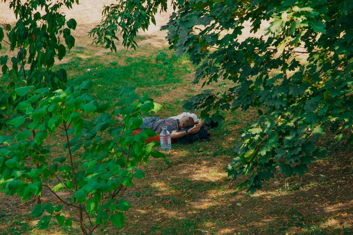 Впрочем, как зона для отдыха, Пейзажную аллею используют и сейчас