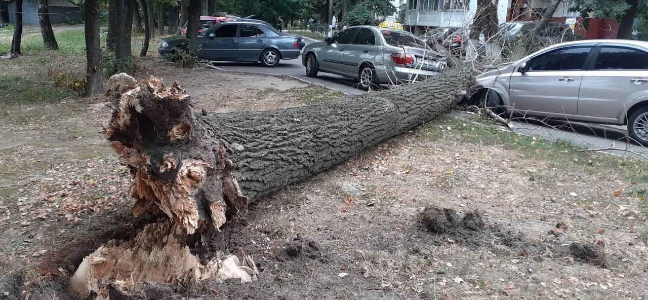 К счастью, никто (кроме машин) не пострадал К счастью, никто (кроме машин) не пострадал