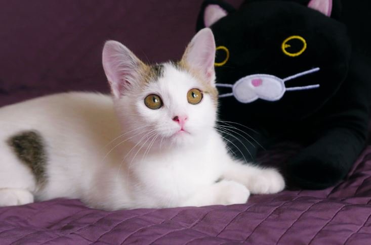 Ну просто идеальная Вася ждет вас Ну просто идеальная Вася ждет вас