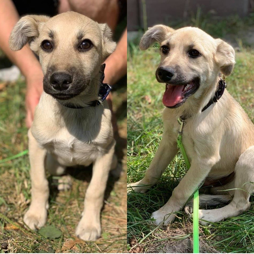 Лучик согреет вас холодной зимой Лучик согреет вас холодной зимой