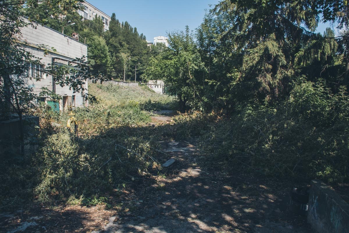 Последние годы футбольное поле и прилегающая территория заростали, превращаясь в джунгли