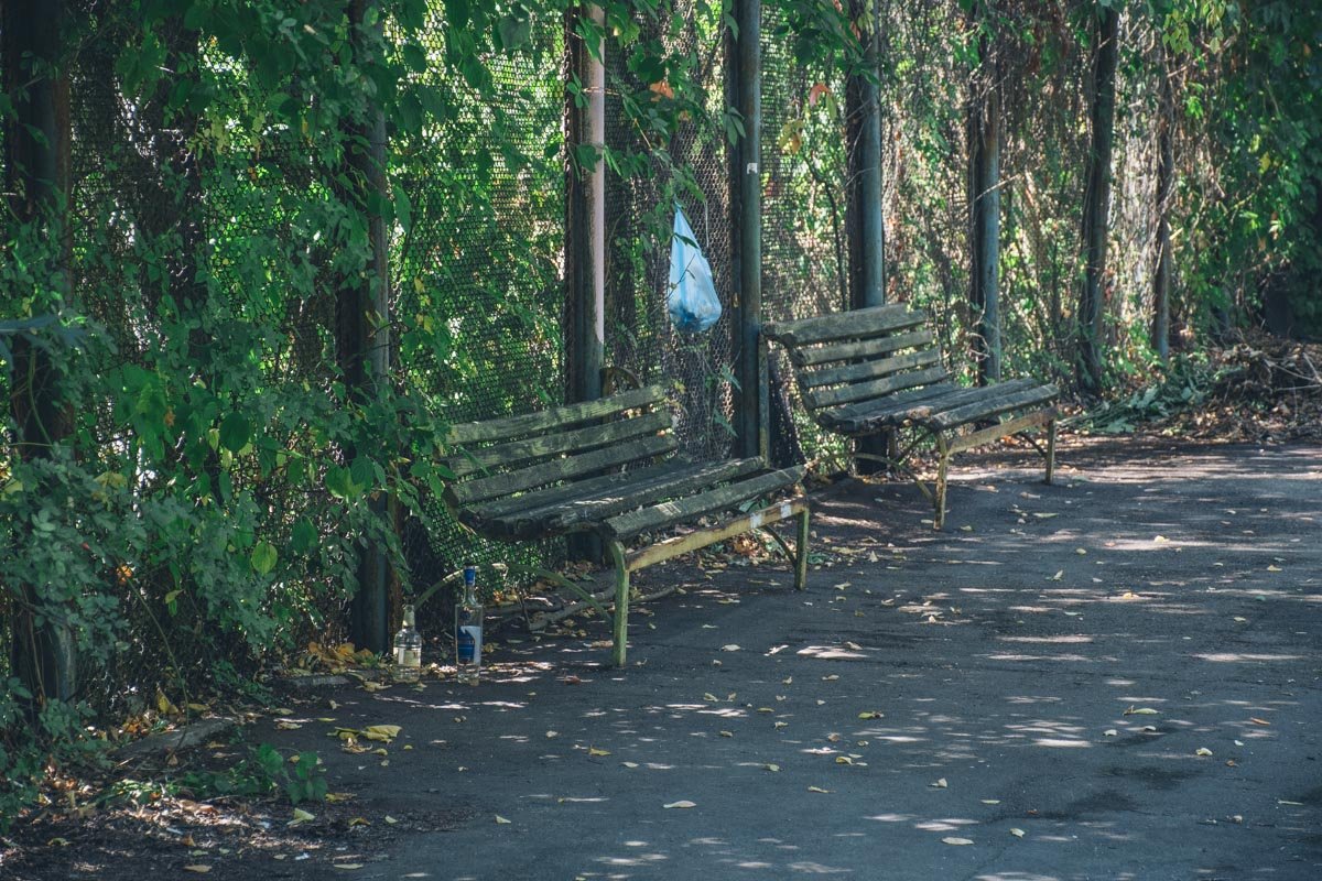 Возле лавочек - следы интеллигентного отдыха
