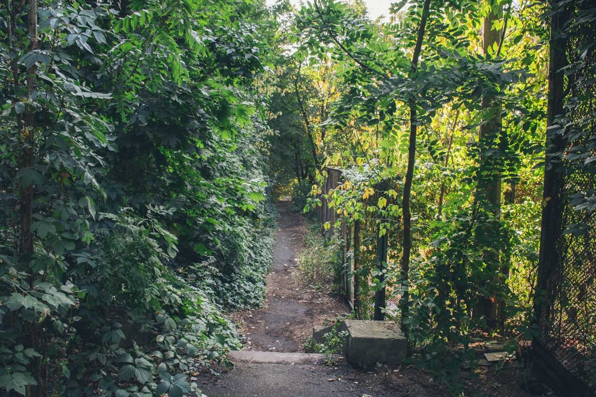 С одной стороны такие дорожки - отличное атмосферное место для прогулок