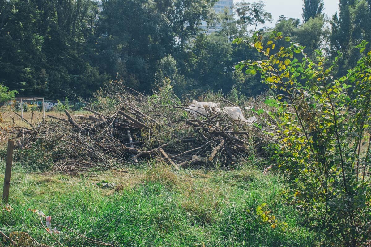 Как вам такие завалы на левом фланге?
