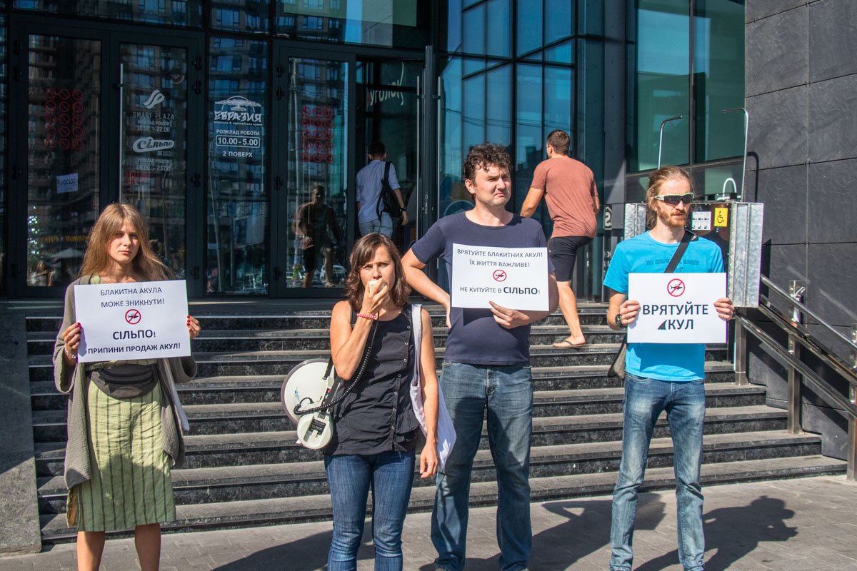 Активисты митинговали против продажи мяса голубой акулы в супермаркетах Активисты митинговали против продажи мяса голубой акулы в супермаркетах