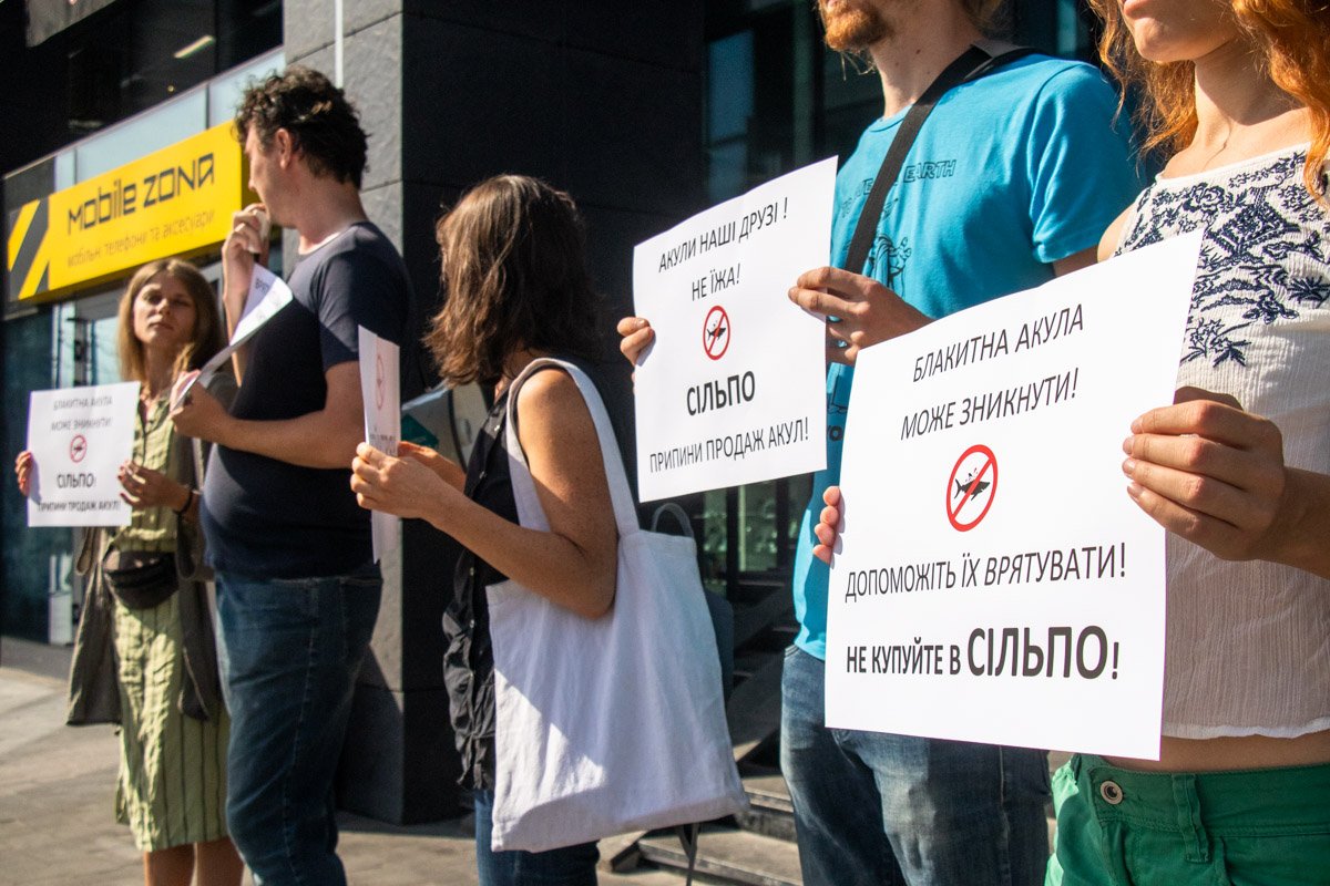 Отметим, что мясо голубой акулы действительно продавалось в супермаркетах "Сильпо", Le Silpo и Novus Отметим, что мясо голубой акулы действительно продавалось в супермаркетах "Сильпо", Le Silpo и Novus