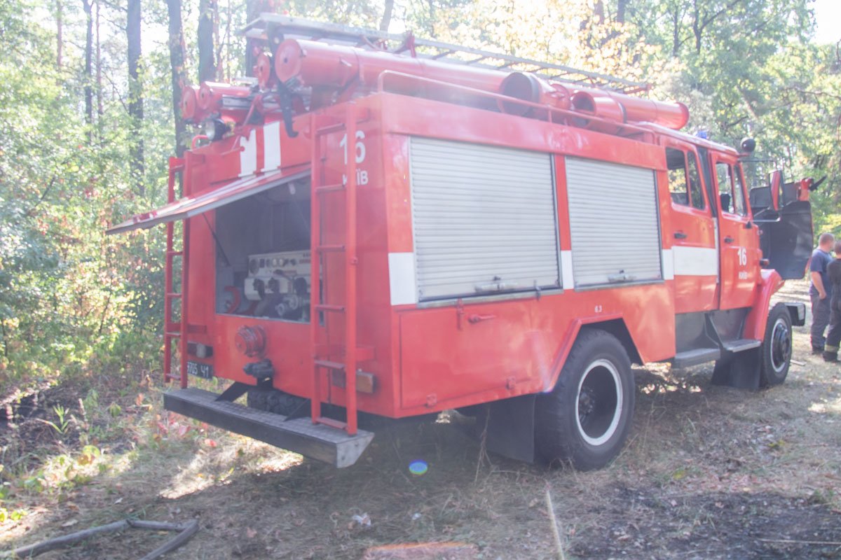 Вызов на линию экстренных служб поступил около 8:10