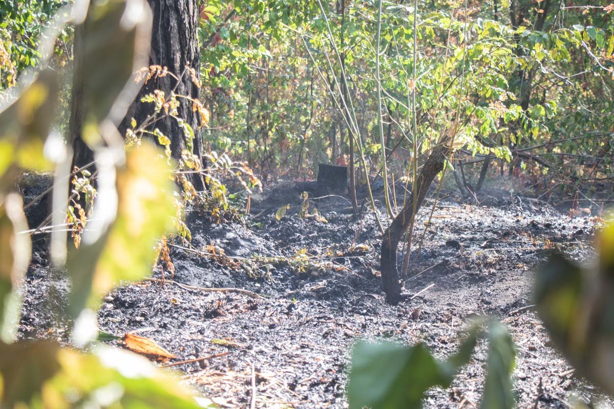  К счастью, в результате пожара никто не пострадал