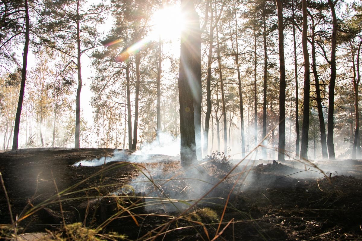 Вызов на линию экстренных служб поступил около 16:00 Вызов на линию экстренных служб поступил около 16:00