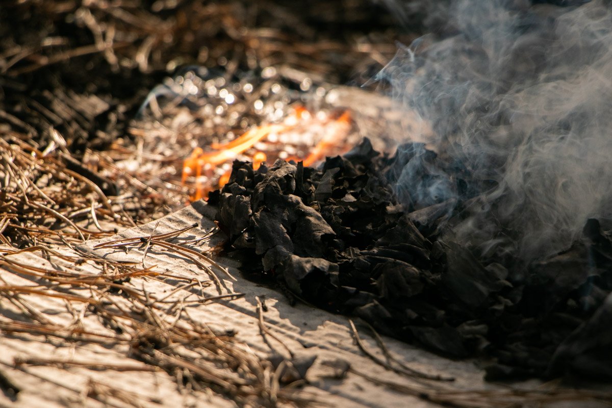 По предварительным данным, на территории леса загорелся травяной настил и мусор По предварительным данным, на территории леса загорелся травяной настил и мусор