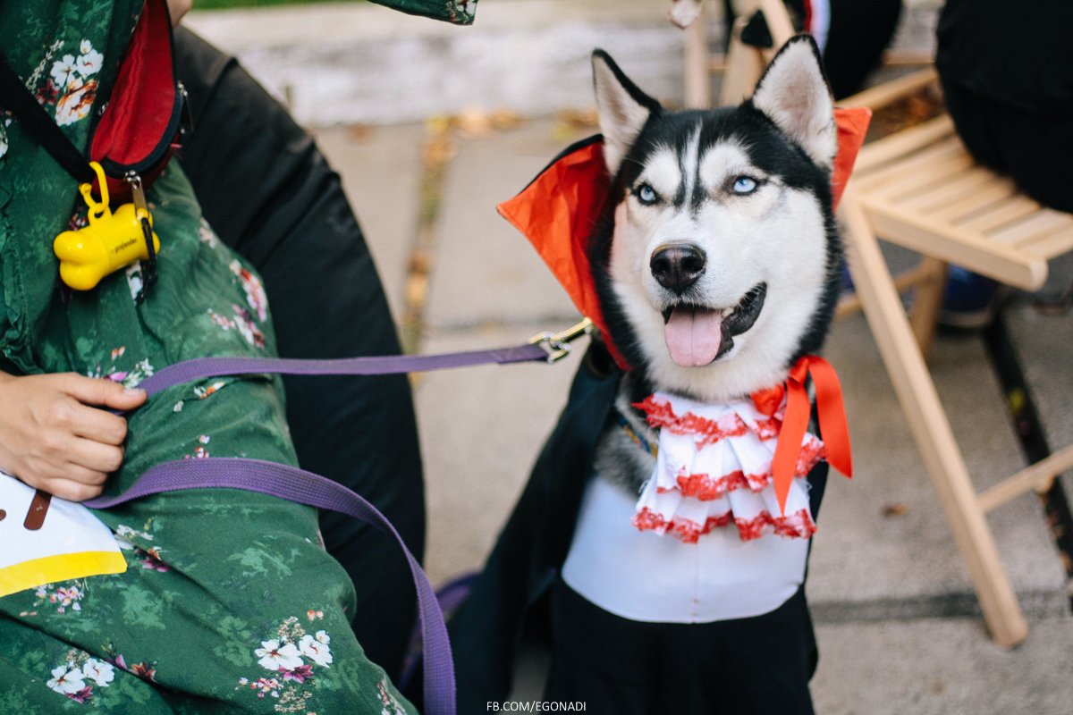 Быть супергероем проще чем кажется. Почему бы не начать с Comic Con Ukraine