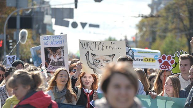 Пойти на Марш стоит если вам не все равно на эту тему, ну или хотя бы потому, что он будет действительно масштабный 