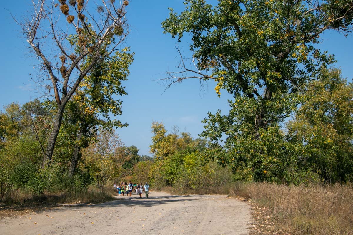 Как будет выглядеть парк развлечений, можно только гадать Как будет выглядеть парк развлечений, можно только гадать