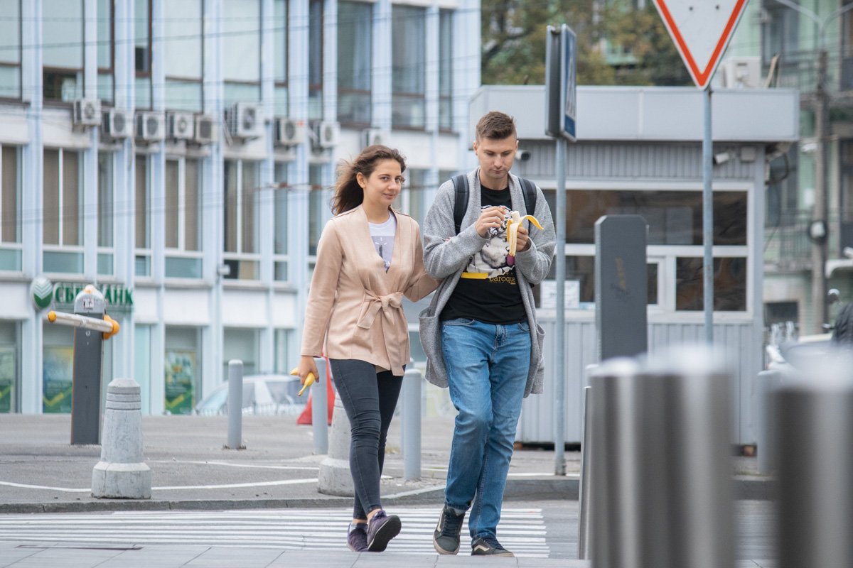 Время кардиганов Время кардиганов