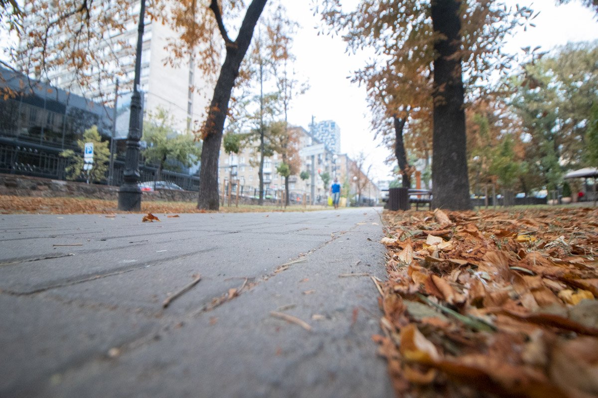 Слушать, как шуршат под подошвами осенние листья Слушать, как шуршат под подошвами осенние листья