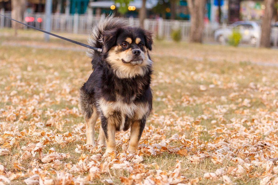 Борис Семенович - классный! Просто знайте это